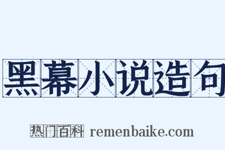 黑幕小说造句是什么意思的图片